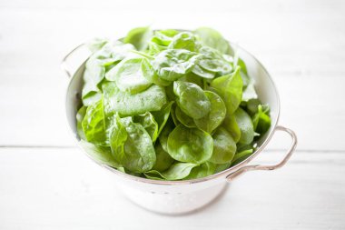 Taze ıspanak hasat tencerede ev bahçe ağaçtan masaya yaprakları