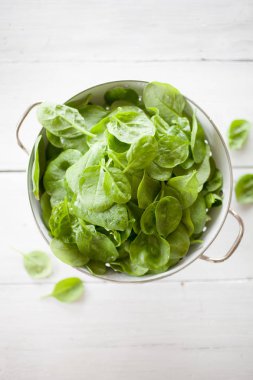 Taze ıspanak hasat tencerede ev bahçe ağaçtan masaya yaprakları