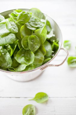 Taze ıspanak hasat tencerede ev bahçe ağaçtan masaya yaprakları