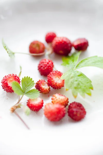 Fresas Silvestres Plato Blanco —  Fotos de Stock