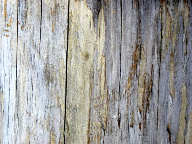 eski boyalı ahşap yüzeye                               