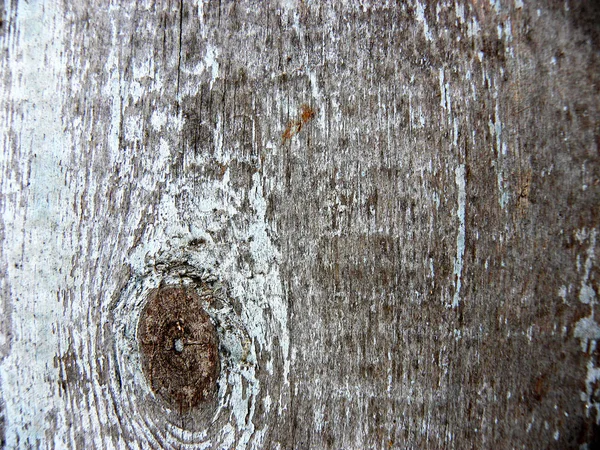 Old Painted Wooden Surface — Stock Photo, Image