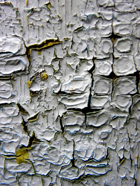 Corteza Natural Del Árbol Fondo Textural Madera — Foto de Stock