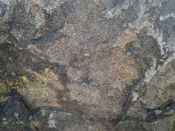 表面に地衣類の斑点がある灰色の天然石の質感と小さな亀裂 — ストック写真