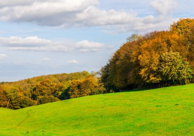 Güneşli bir günde İngiliz yeşil çayırı, İngiliz kırsalının tipik bir kırsal alanı, bir kırsal alan.