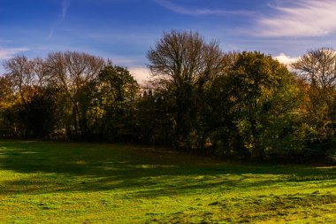 Güneşli bir günde İngiliz yeşil çayırı, İngiliz kırsalının tipik bir kırsal alanı, bir kırsal alan.