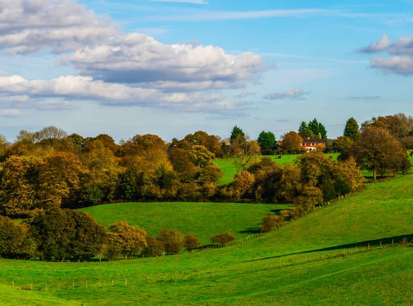 Güneşli bir günde İngiliz yeşil çayırı, İngiliz kırsalının tipik bir kırsal alanı, bir kırsal alan.