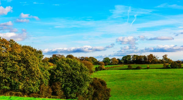 English Green Meadow Sunny Day Typical Rural Landscape British Countryside — Stock Photo, Image