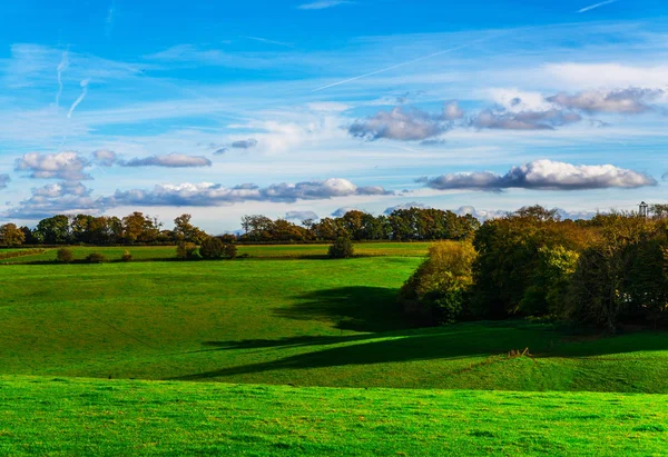 Angielska Zielona Łąka Słoneczny Dzień Typowy Wiejski Krajobraz Brytyjskiej Wsi — Zdjęcie stockowe