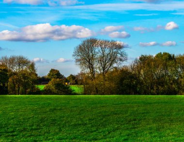 Güneşli bir günde İngiliz yeşil çayırı, İngiliz kırsalının tipik bir kırsal alanı, bir kırsal alan.