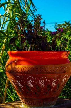 güzel seramik saksıyı bir kaide çiçeklerle dekorasyon kentsel alanı üzerinde