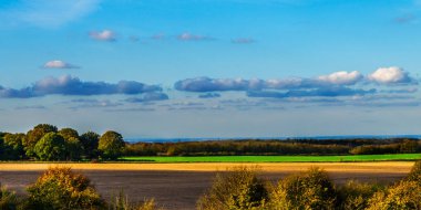 Güneşli bir günde İngiliz yeşil çayırı, İngiliz kırsalının tipik bir kırsal alanı, bir kırsal alan.