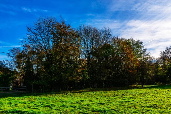 在阳光灿烂的日子里 英国绿茵的草地 是典型的英国乡村风景 是一片乡村田野 — 图库照片