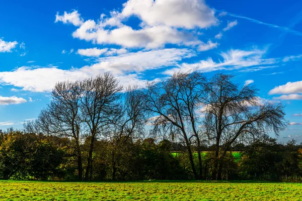 stock image English green meadow on a sunny day, a typical rural landscape of the British countryside, a rural field