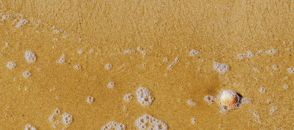 Natürliche Muschel Sandstrand Liegend Vom Wasser Gewaschen Sonniger Tag Urlaub — Stockfoto
