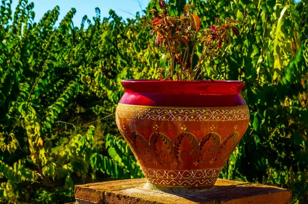 Schöner Keramik Blumentopf Auf Einem Sockel Mit Blumen Dekoration Des — Stockfoto