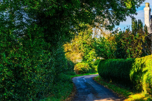 English country road on a sunny day, lush green vegetation, narrow road