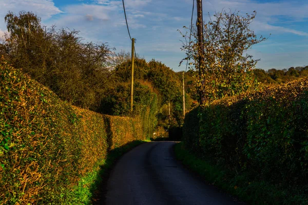 Engelse Landweg Een Zonnige Dag Weelderige Groene Vegetatie Smalle Weg — Stockfoto
