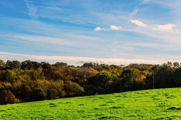 English Green Meadow Sunny Day Typical Rural Landscape British Countryside — Stock Photo, Image