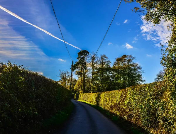 Camino Campo Inglés Día Soleado Exuberante Vegetación Verde Camino Estrecho — Foto de Stock