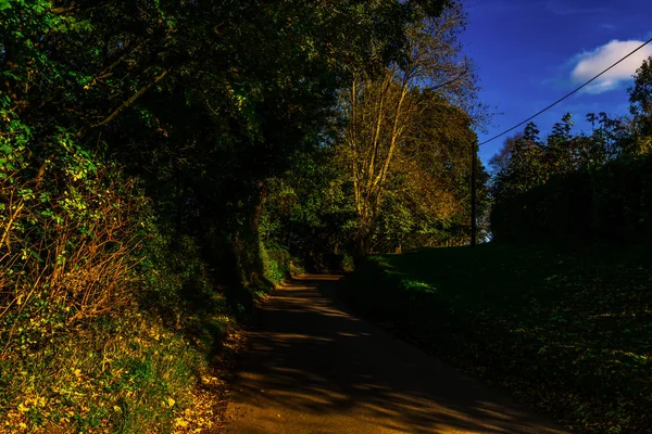 Estrada Rural Inglesa Dia Ensolarado Vegetação Verde Exuberante Estrada Estreita — Fotografia de Stock