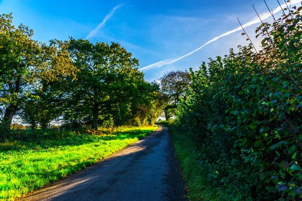 Engelse Landweg Een Zonnige Dag Weelderige Groene Vegetatie Smalle Weg — Stockfoto