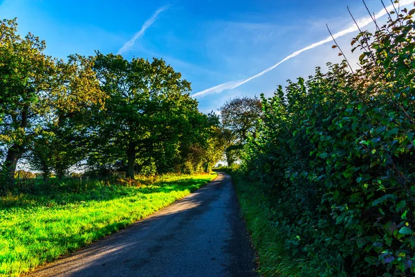 Camino Campo Inglés Día Soleado Exuberante Vegetación Verde Camino Estrecho —  Fotos de Stock