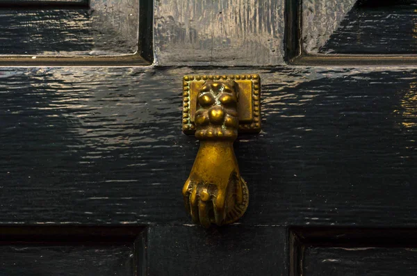 Deur Met Messing Knocker Vorm Van Een Inrichting Prachtige Entree — Stockfoto