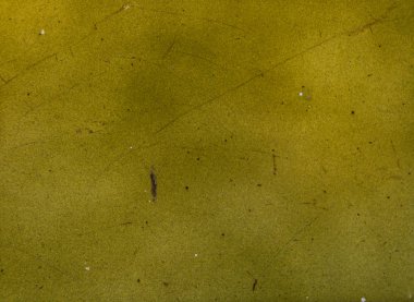 Geleneksel İspanyol dekoratif fayansları, binaların duvarlarında orijinal seramik fayanslar, dekorasyon.