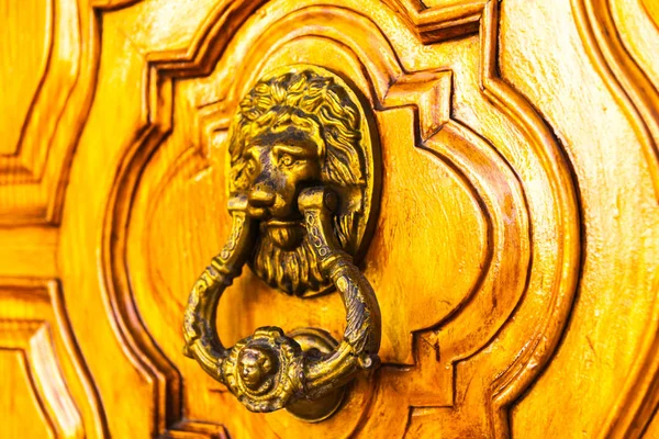 ประต วยทองเหล องเคาะในร างของส งโตทางเข สวยงามของบ านตกแต นเทจ — ภาพถ่ายสต็อก