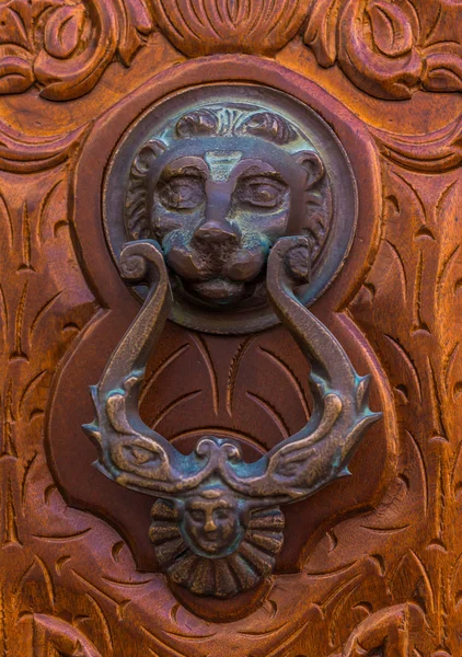 Porte Avec Frappeur Laiton Forme Lion Belle Entrée Maison Décoration — Photo