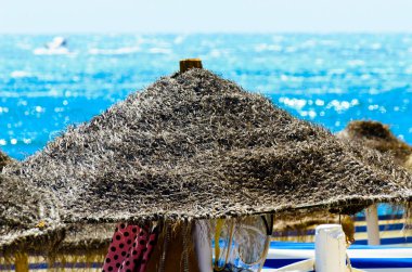 Güzel kumsalı ile palmiye ağacı şemsiye ve mavi deniz, tatil