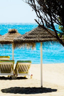 Güzel kumsalı ile palmiye ağacı şemsiye ve mavi deniz, tatil