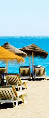 Güzel kumsalı ile palmiye ağacı şemsiye ve mavi deniz, tatil