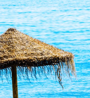 Güzel kumsalı ile palmiye ağacı şemsiye ve mavi deniz, tatil