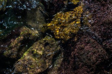 Mavi yaz dalgası ve kayaları ile şaşırtıcı deniz, rahatlatıcı kaya ve su manzarası, doğa