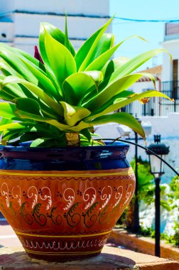 güzel seramik saksıyı bir kaide çiçeklerle dekorasyon kentsel alanı üzerinde