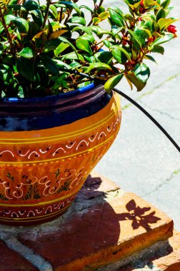 güzel seramik saksıyı bir kaide çiçeklerle dekorasyon kentsel alanı üzerinde