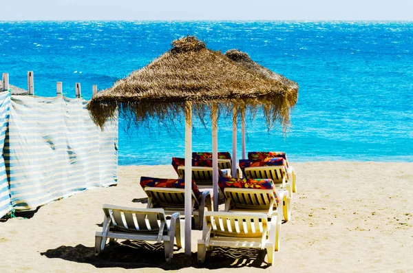 Güzel kumsalı ile palmiye ağacı şemsiye ve mavi deniz, tatil