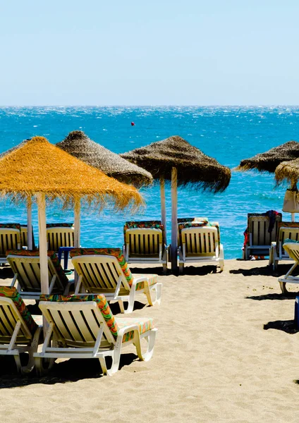 Güzel kumsalı ile palmiye ağacı şemsiye ve mavi deniz, tatil