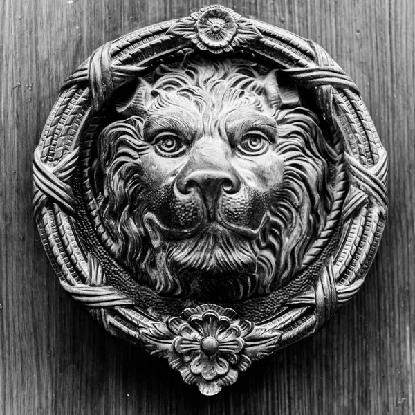 ヴィンテージの装飾に美しい入口 ライオンの形をした真鍮製ドアノッカーとドア — ストック写真