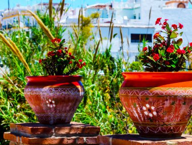 güzel seramik saksıyı bir kaide çiçeklerle dekorasyon kentsel alanı üzerinde