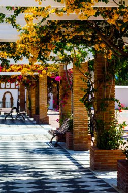 portre renkli çiçekli bitkiler tırmanma ile kaplı güzel bir çardak üzerinde dinlenmek yer, mimari