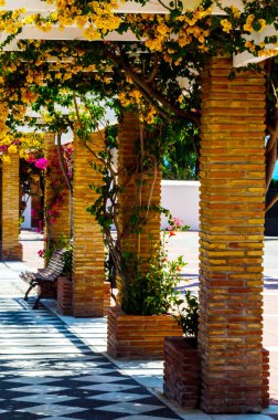 portre renkli çiçekli bitkiler tırmanma ile kaplı güzel bir çardak üzerinde dinlenmek yer, mimari