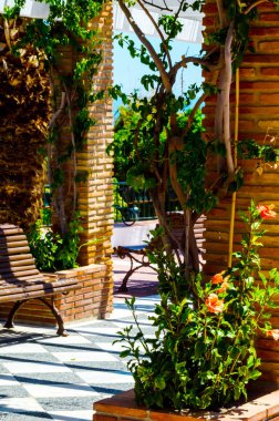 portre renkli çiçekli bitkiler tırmanma ile kaplı güzel bir çardak üzerinde dinlenmek yer, mimari