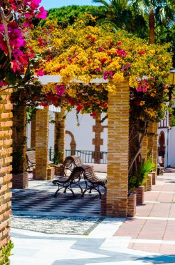 portre renkli çiçekli bitkiler tırmanma ile kaplı güzel bir çardak üzerinde dinlenmek yer, mimari