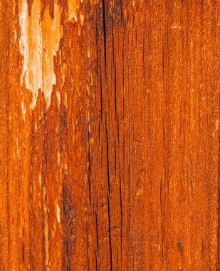 Ahşap bir yüzeyin ilginç dokusu, zarif bir arka plan olarak doğal ahşap, doğa.