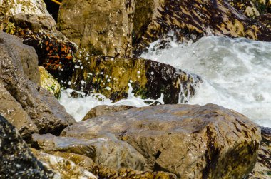 Mavi yaz dalgası ve kayaları ile şaşırtıcı deniz, rahatlatıcı kaya ve su manzarası, doğa