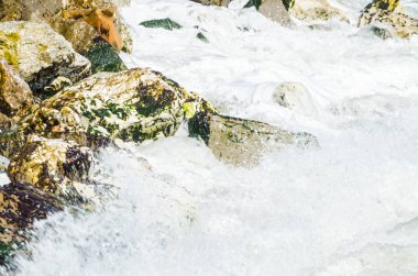 Mavi yaz dalgası ve kayaları ile şaşırtıcı deniz, rahatlatıcı kaya ve su manzarası, doğa