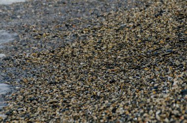 dalgalar deniz, küçük ve çeşitli taşlar sahile doğa şekillendirme tarafından yıkanmış Çakıl Plajı